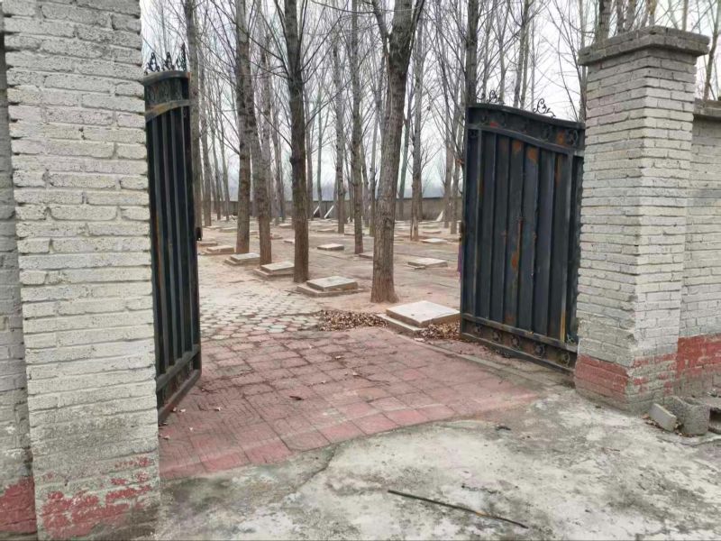 马家堡村