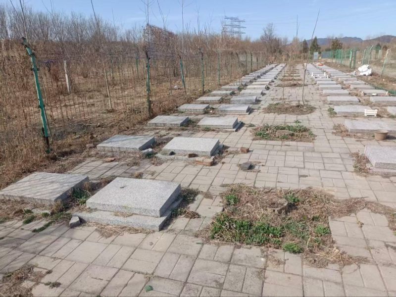 北京市顺义区张镇虫王庙公墓