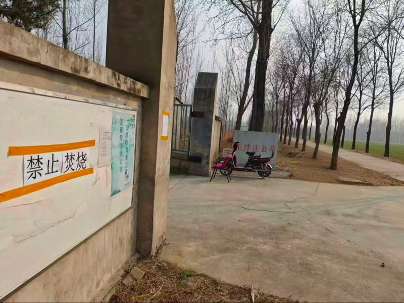 王泮庄村公墓