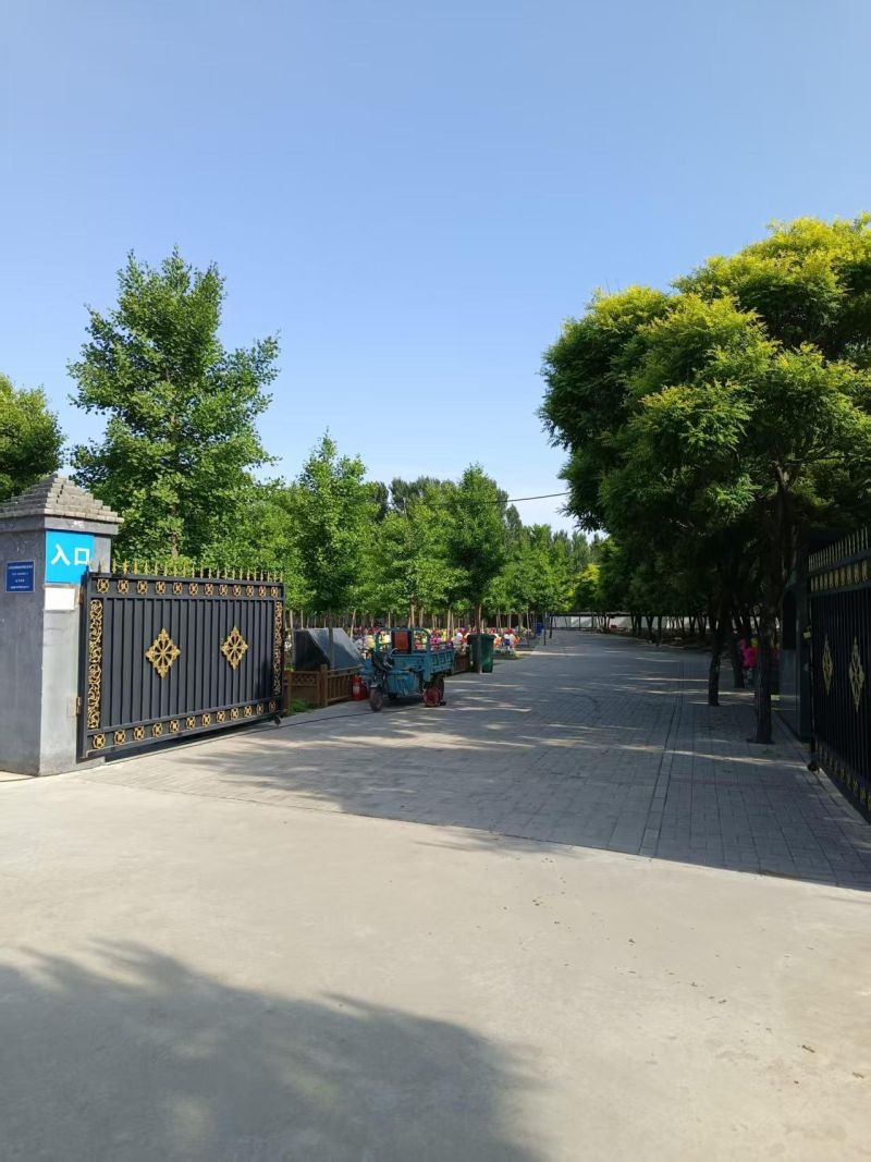 庞各庄镇梨花村公墓