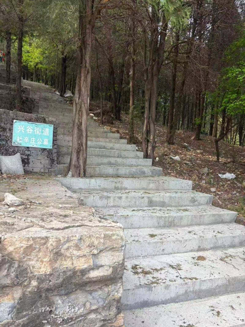 兴谷街道杜辛庄村级公益性公墓