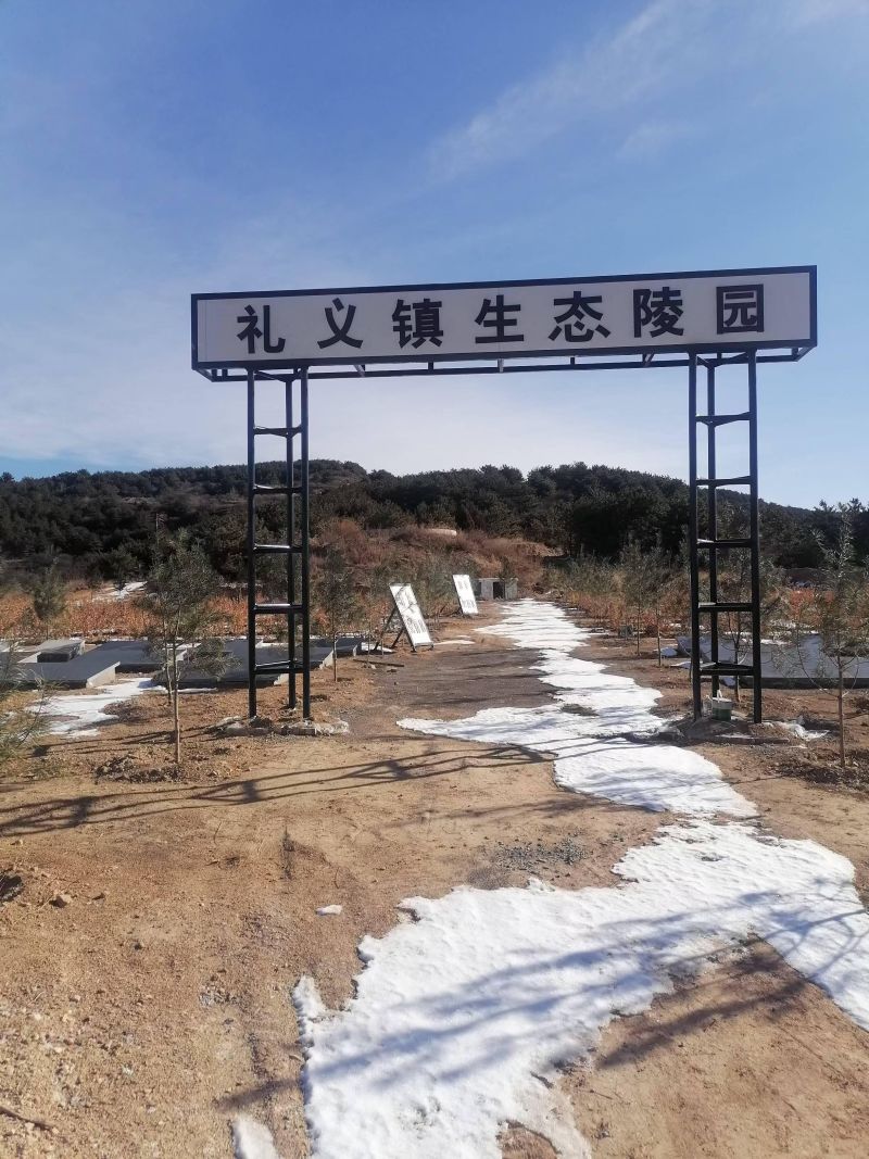 礼义镇大义井村镇级公益性公墓