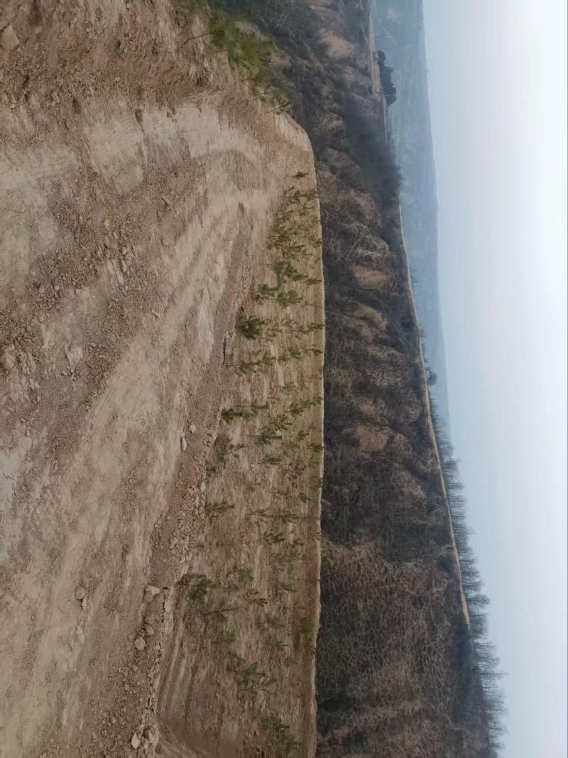 大宁县昕水镇南庄村公益性公墓